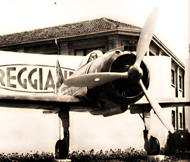 Reggiane_F3-vi